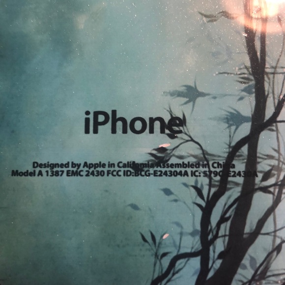 iPhone case for size 5 or SE - Picture 3 of 4